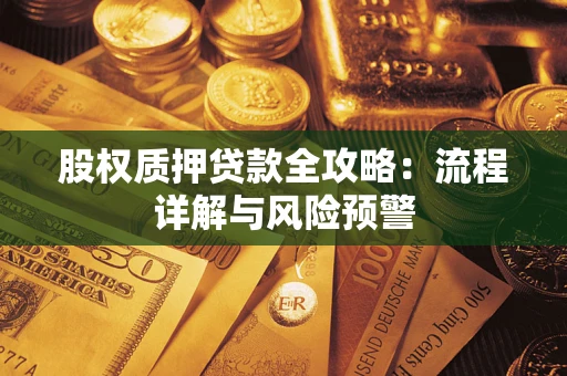 武汉股权质押贷款全攻略：流程详解与风险预警