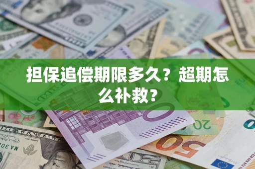 武汉担保追偿期限多久？超期怎么补救？