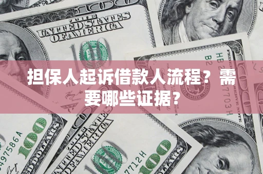 武汉担保人起诉借款人流程？需要哪些证据？