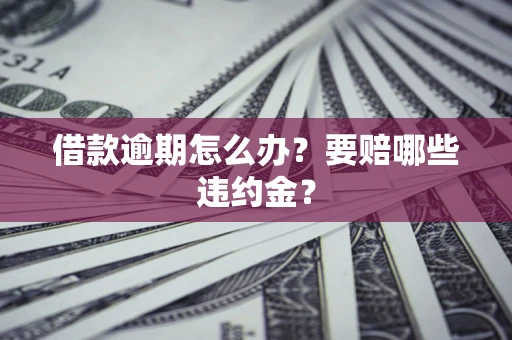 武汉借款逾期怎么办？要赔哪些违约金？